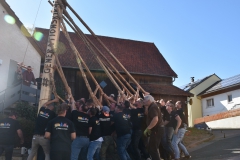 baumaufstellen-2018_-117