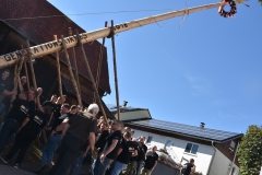 baumaufstellen-2018_-121