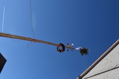 baumaufstellen-2018_-123