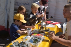 baumaufstellen-2018_-126