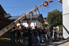 baumaufstellen-2018_-136