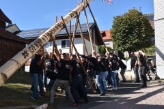 baumaufstellen-2018_-137