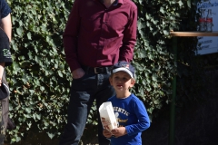 baumaufstellen-2018_-141