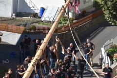 baumaufstellen-2018_-150