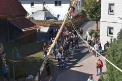 baumaufstellen-2018_-152