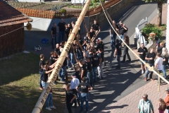 baumaufstellen-2018_-154