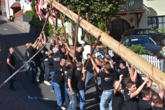 baumaufstellen-2018_-155