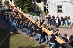 baumaufstellen-2018_-163