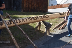 baumaufstellen-2018_-175