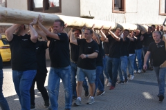 baumaufstellen-2018_-201