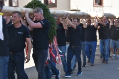 baumaufstellen-2018_-203