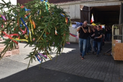 baumaufstellen-2018_-204