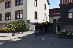 baumaufstellen-2018_-205