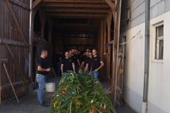 baumaufstellen-2018_-211