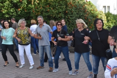 baumaufstellen-2018_-3