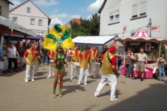 samba33