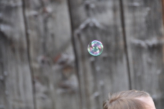 jhm_2013_samstag_mittag_049