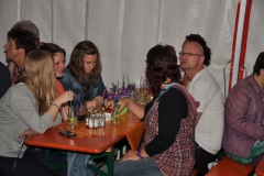 jhm_2013_samstag_party_030