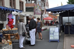 jhm_2013_sonntag_010