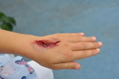 jhm_2013_sonntag_060