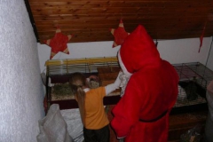 nikolaus_2007_22